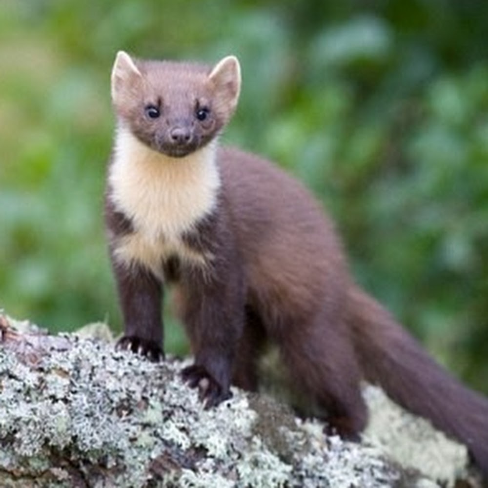 Meet your Posher, Rebekah